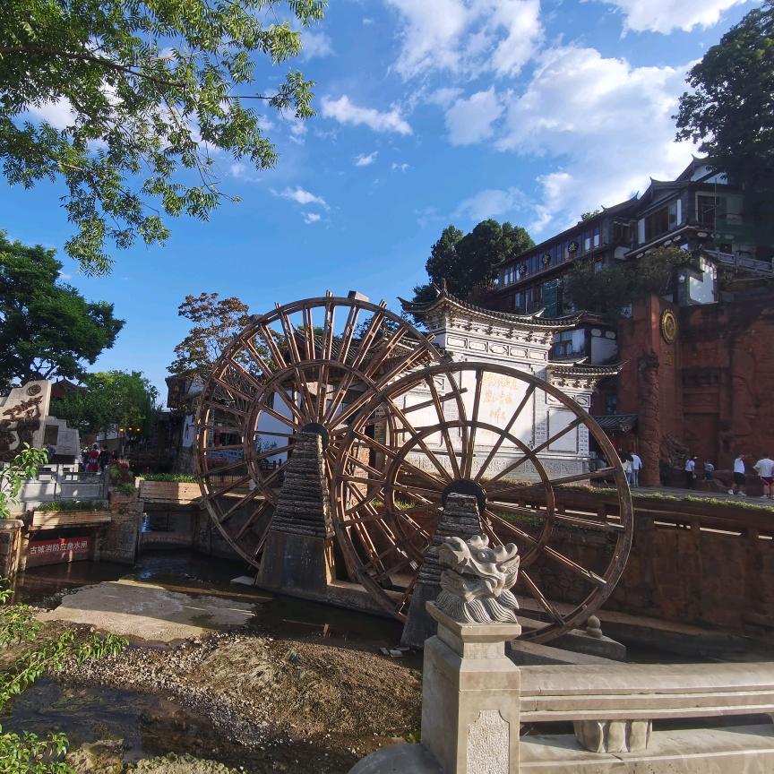 随风逐梦