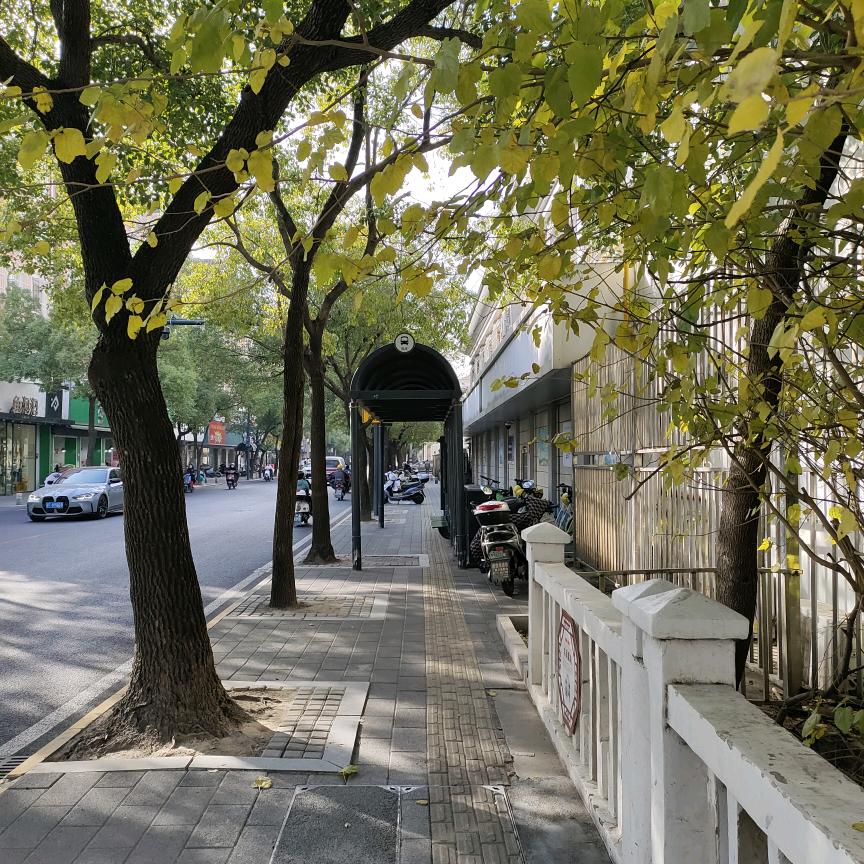 ヾ(❀╹◡╹)ﾉﾞ❀~