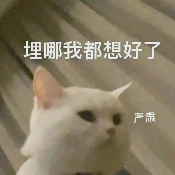玖玖