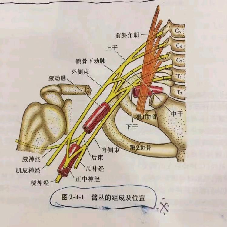 沈阳长白万象汇双口大师