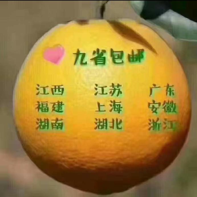 包袋临时工团队