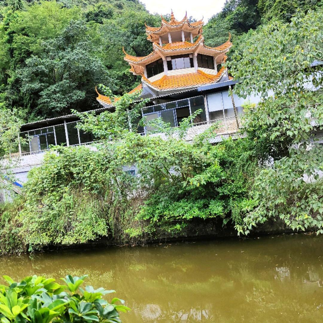 高手🌞