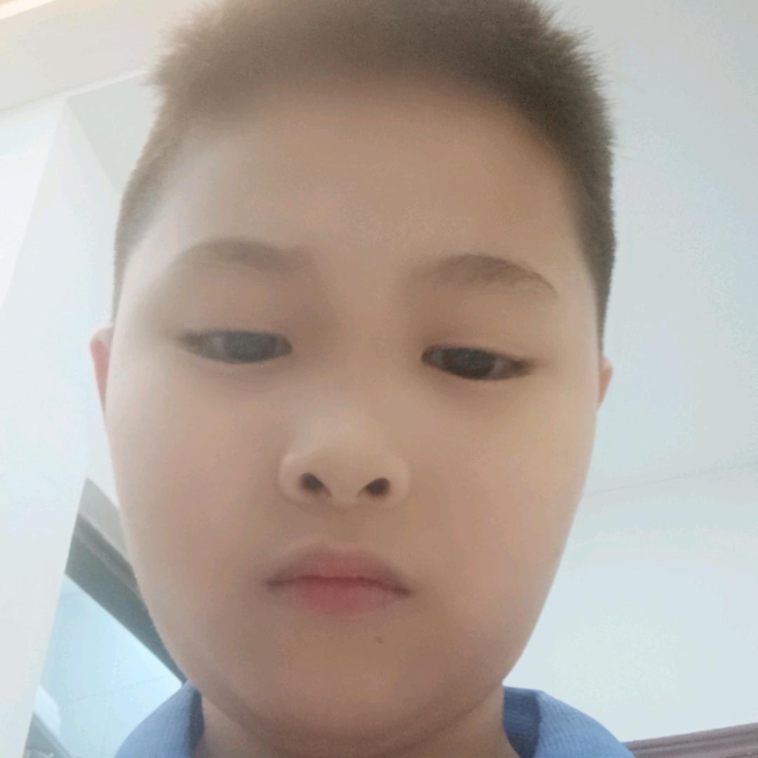 网站
