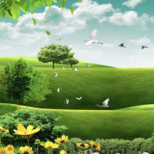 🍀李宏伟🍀传统文化