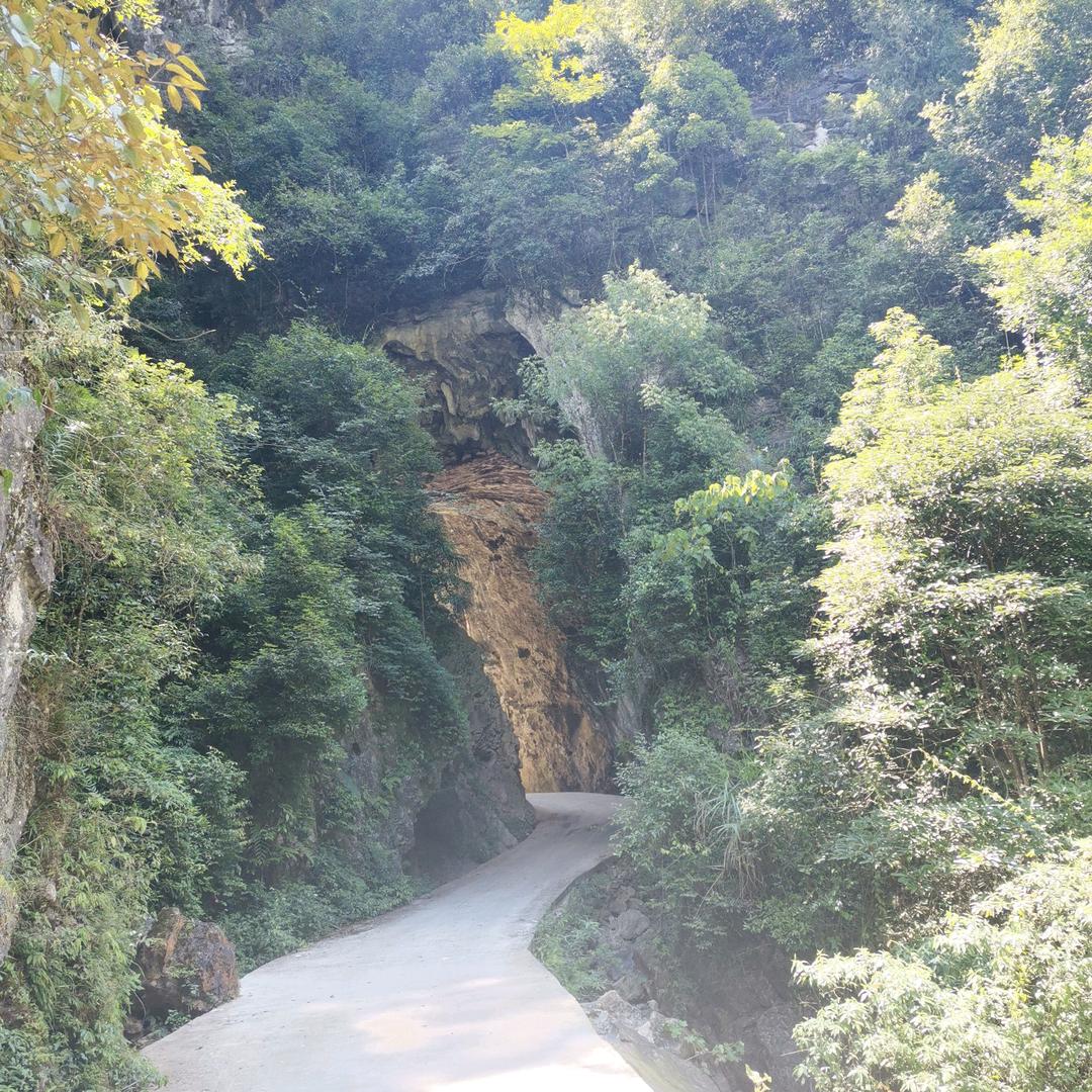 你莫走：余