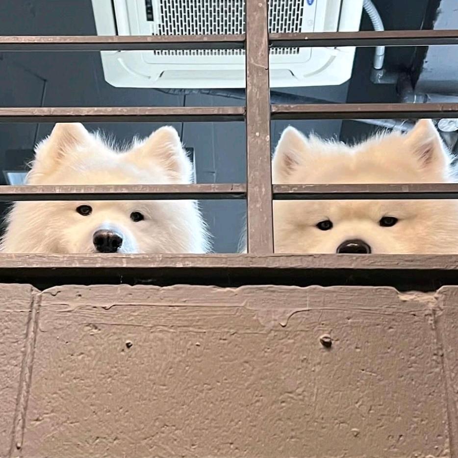 凤二