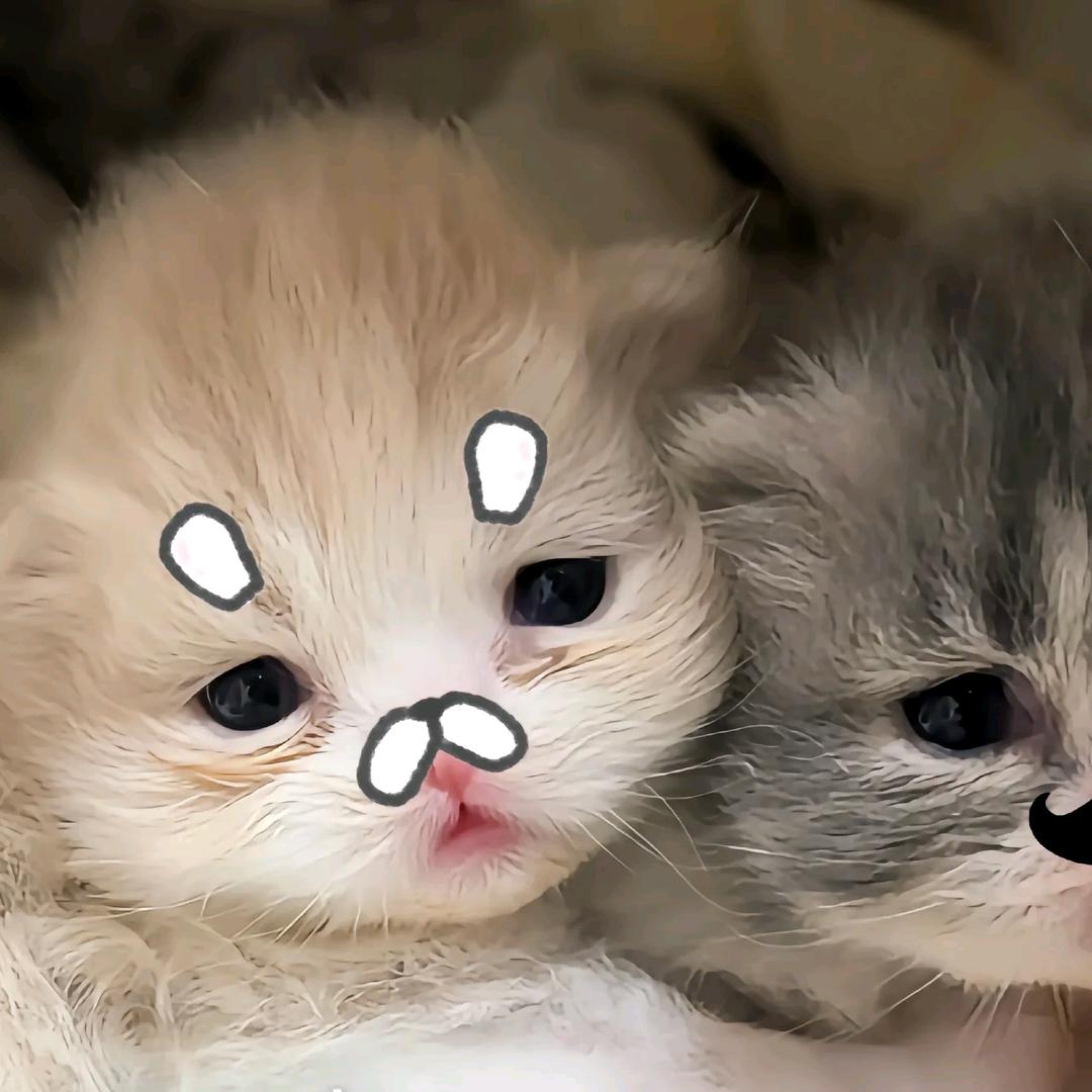 静脉血