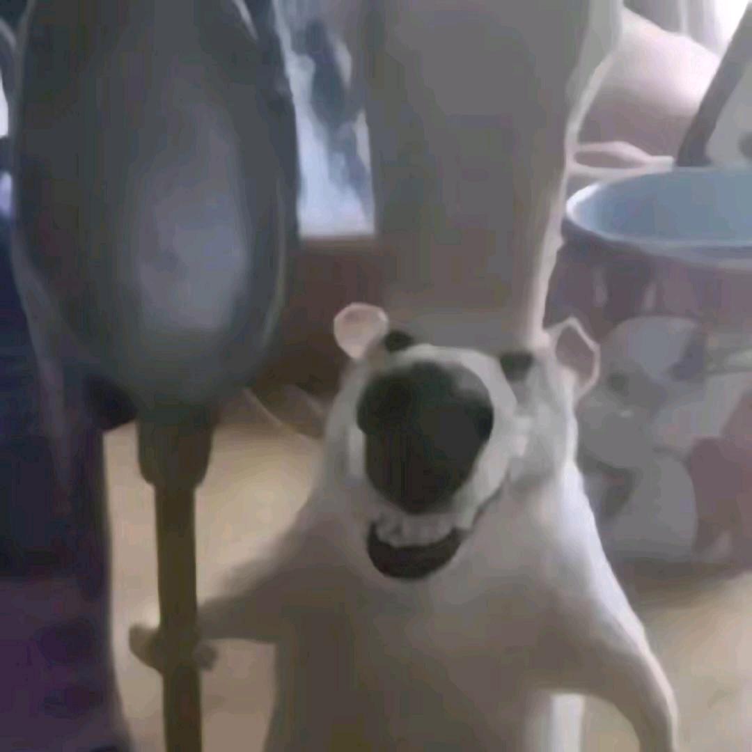 去拯救世界