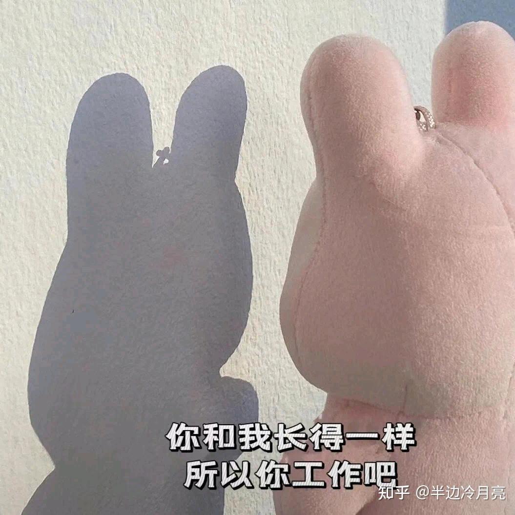 魔方毛毛老师