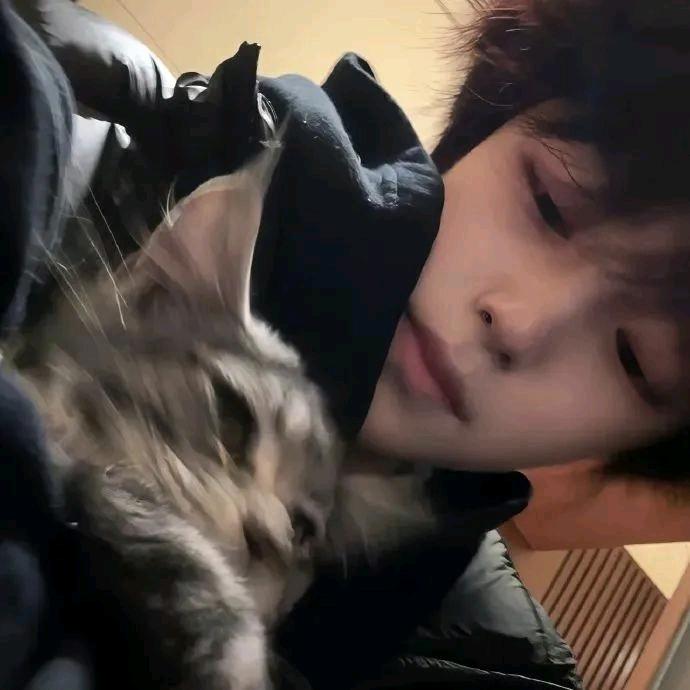 王大猫