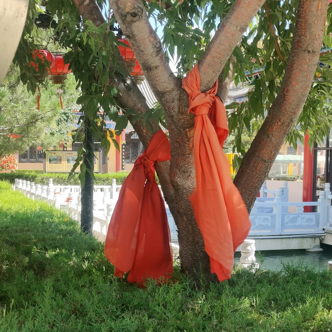 感恩生命里的每一天！