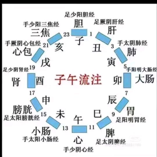 亮仔谈饮食