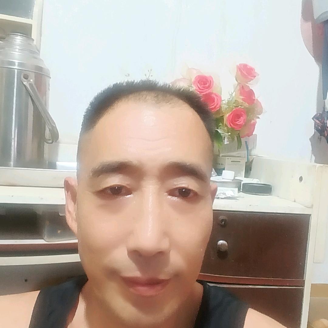 野马驹