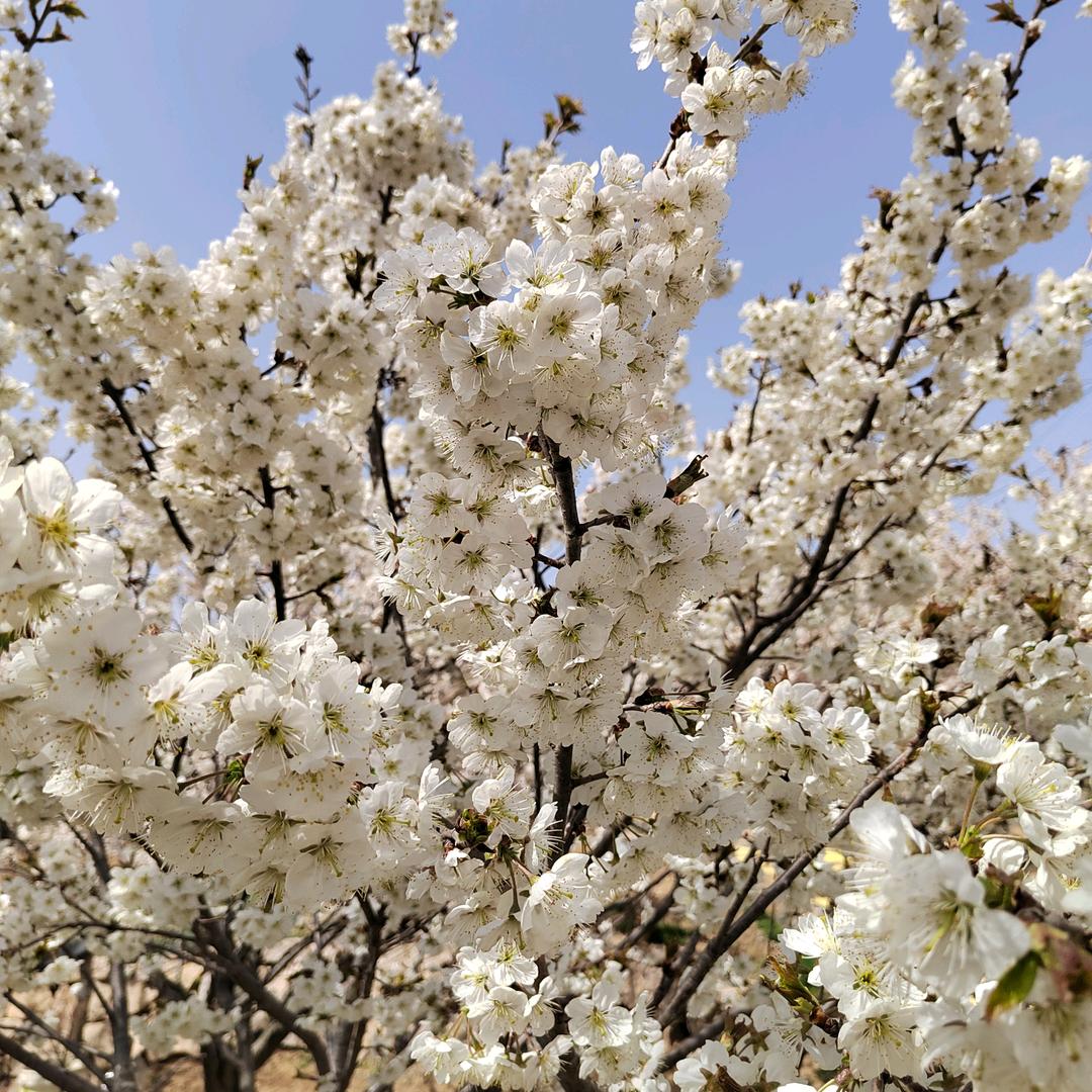 🍀家和万事兴🍀