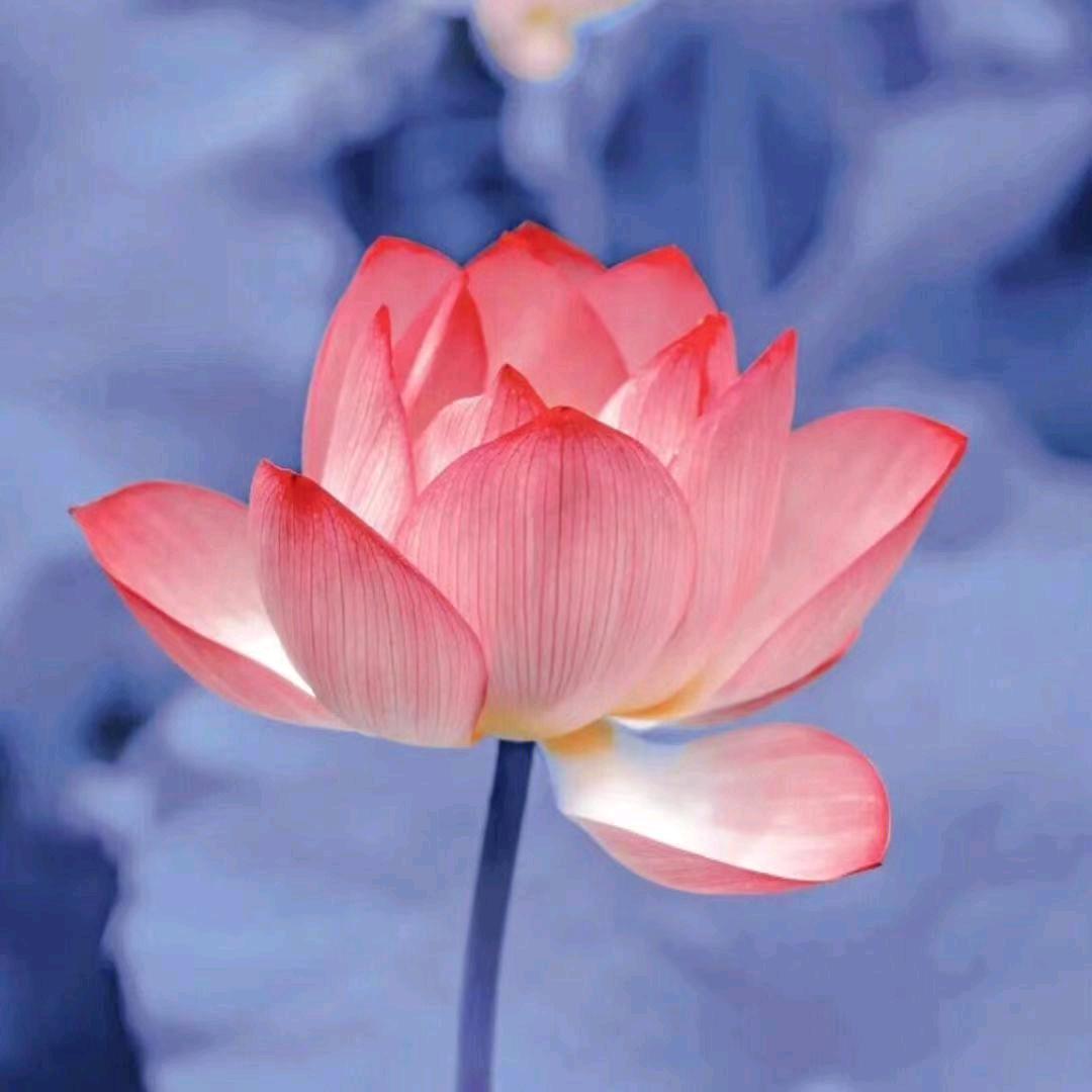 等等