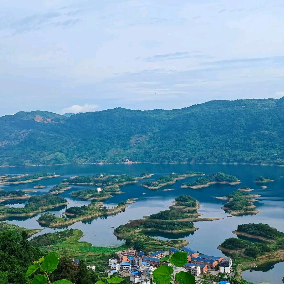 仙岛湖农副产品