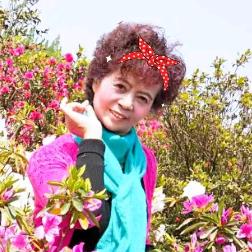 renjie74229