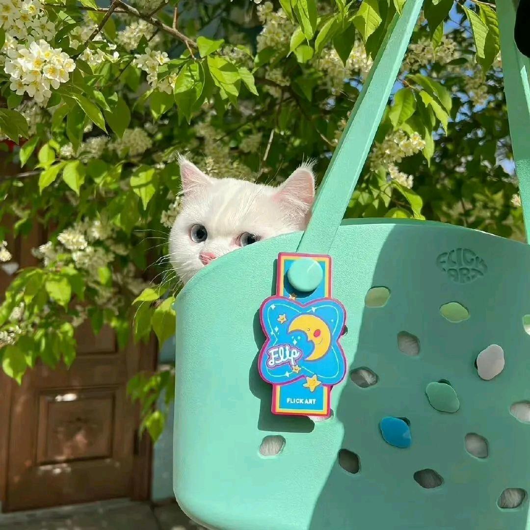 梦子短剧☁