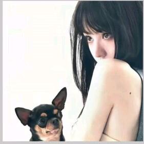 悲伤𝙠𝙞𝙩𝙩𝙮猫