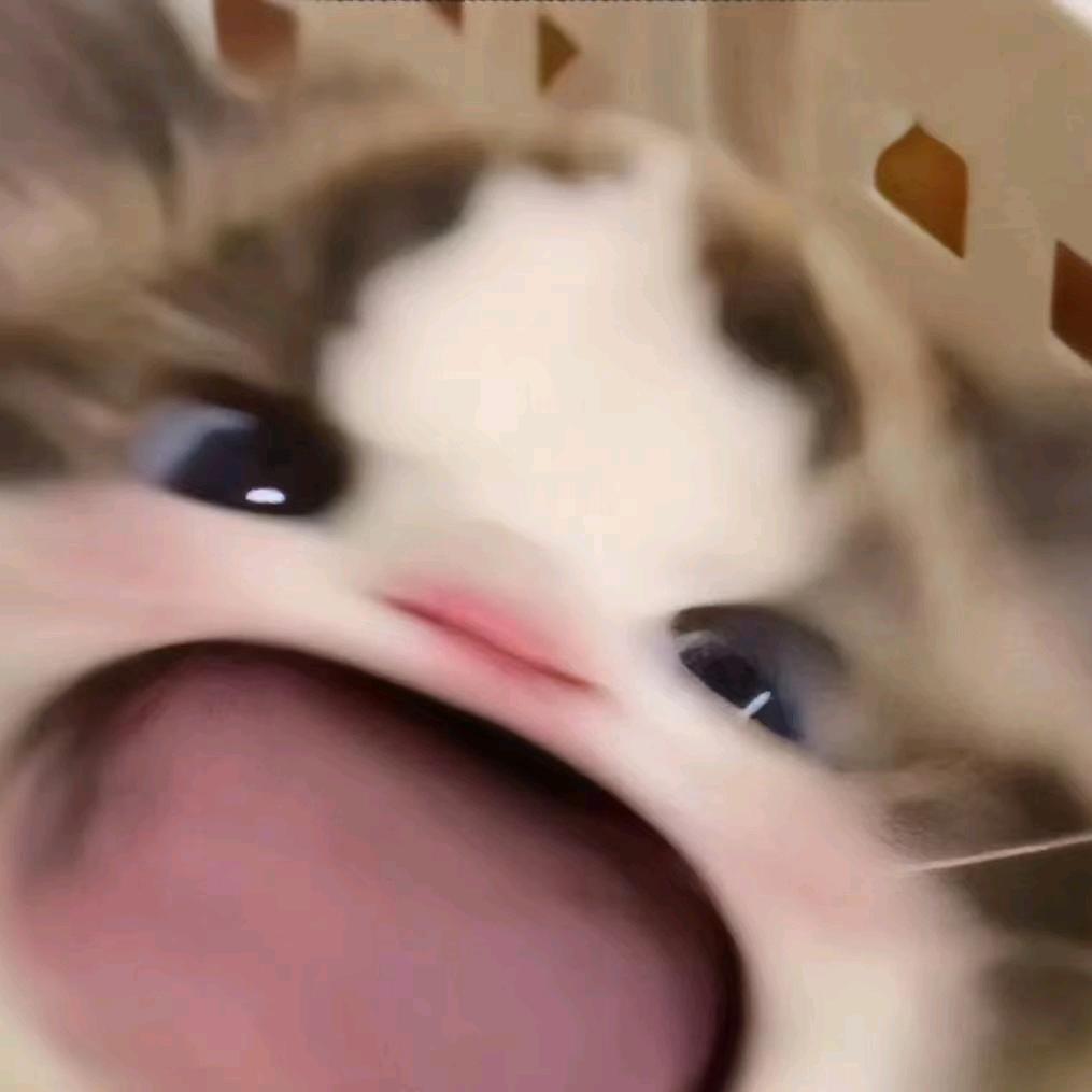 今安☆