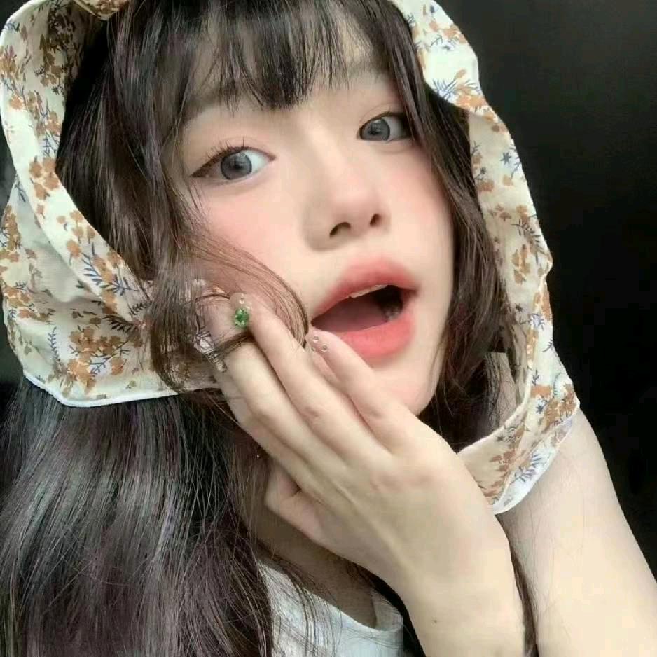 🌲柳月宠物大家庭全家福🎡💝🎻