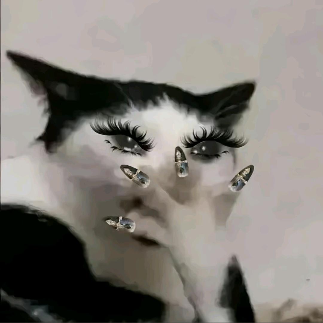 纯情大蟑螂