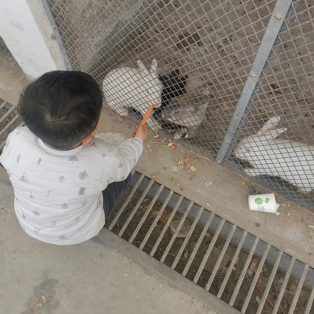 断桥门窗专业户