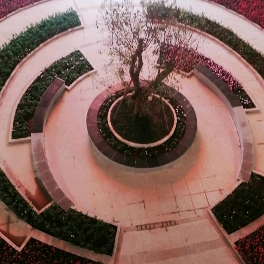 开心过好每一天，