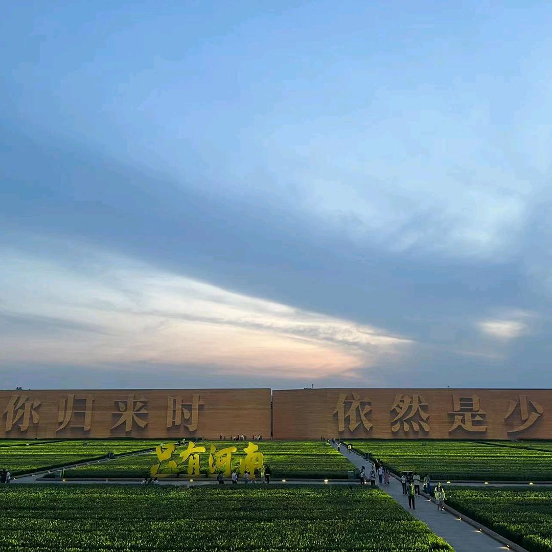 小飞象姗姗