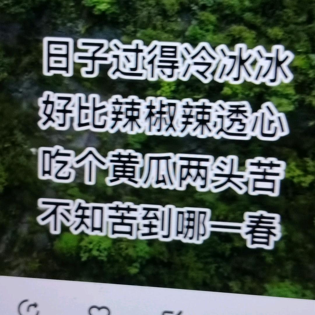 遵汇三哥