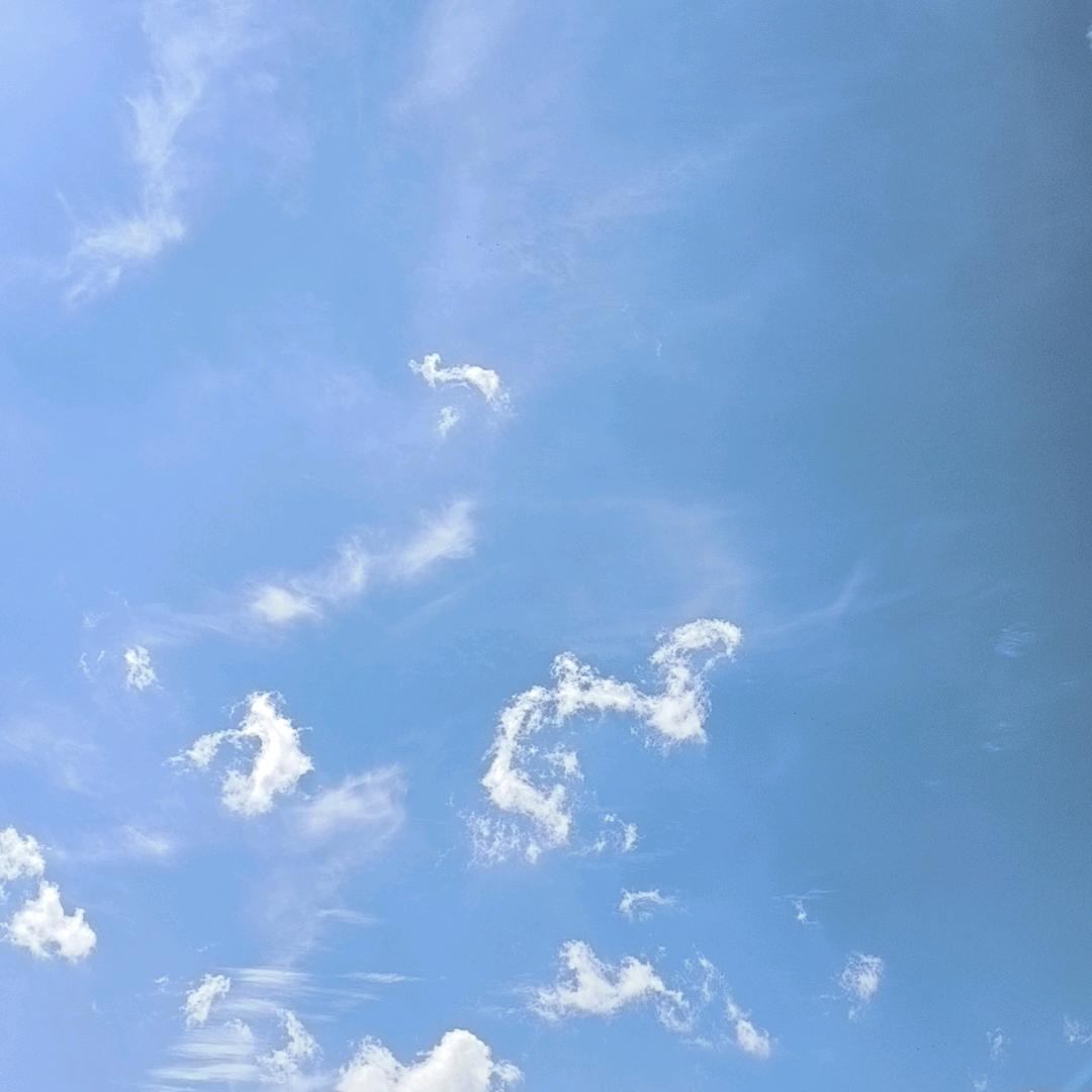 沐逸不凡