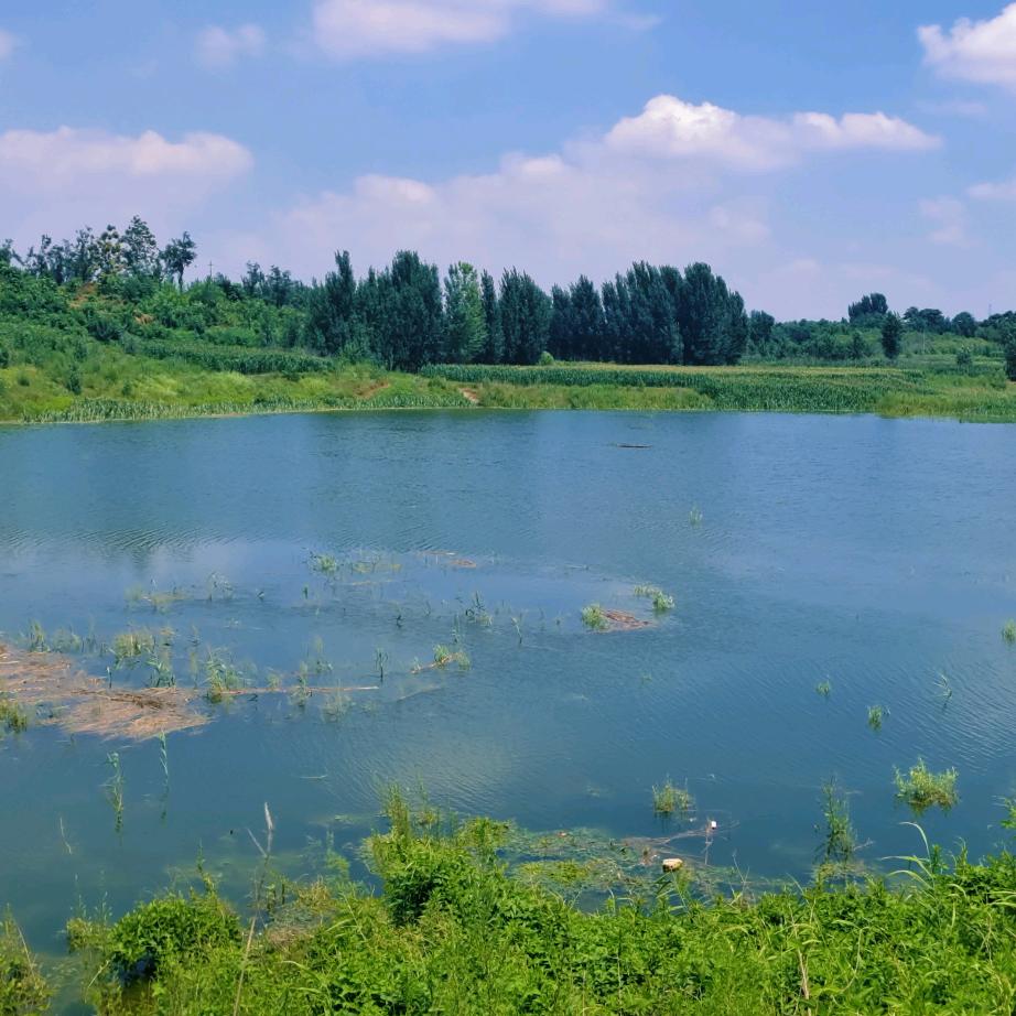 “醉”美盆窑村