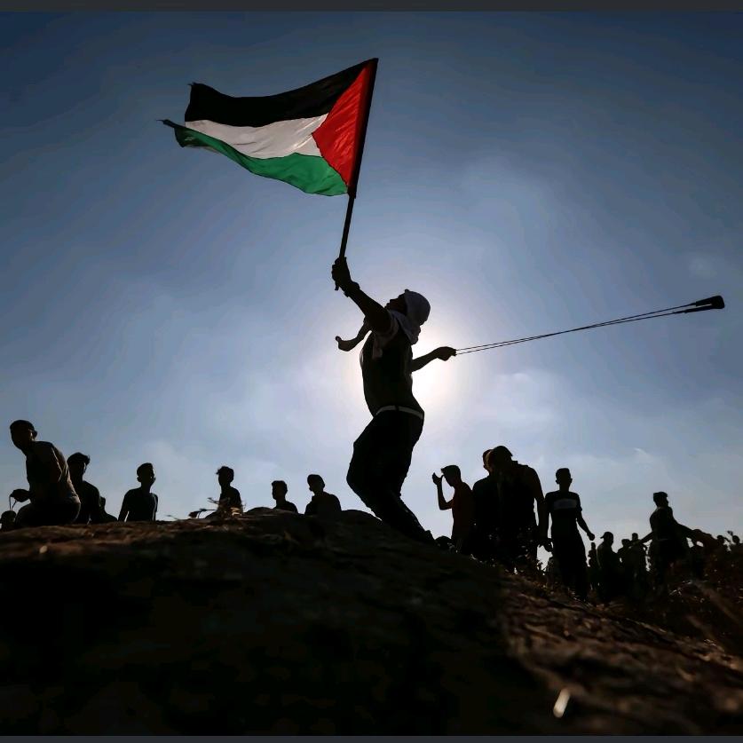 Youssef-Yang🇵🇸