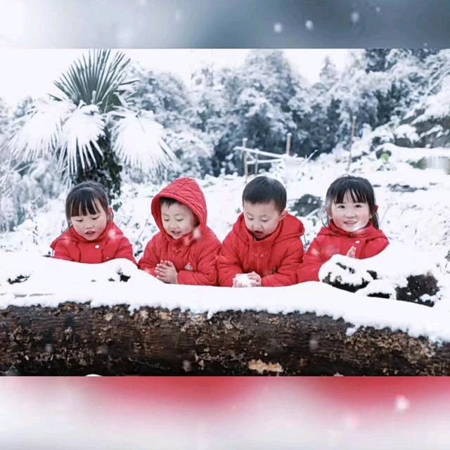 四宝妈妈在努力