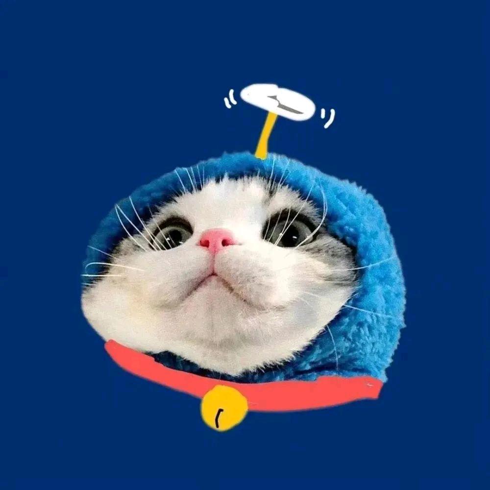 凯欣Every  Day