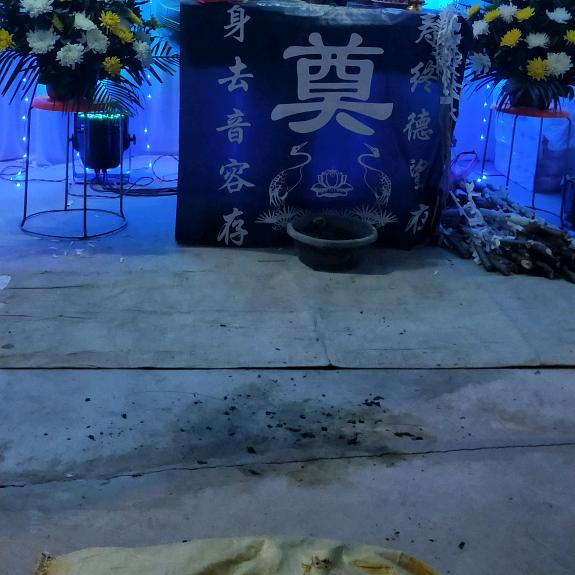 龙行🌹🌹🌹天下