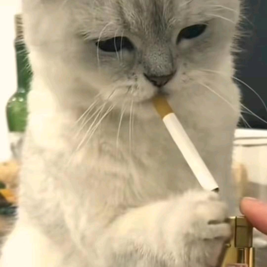 颜