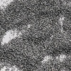 芝麻开花啦啦啦