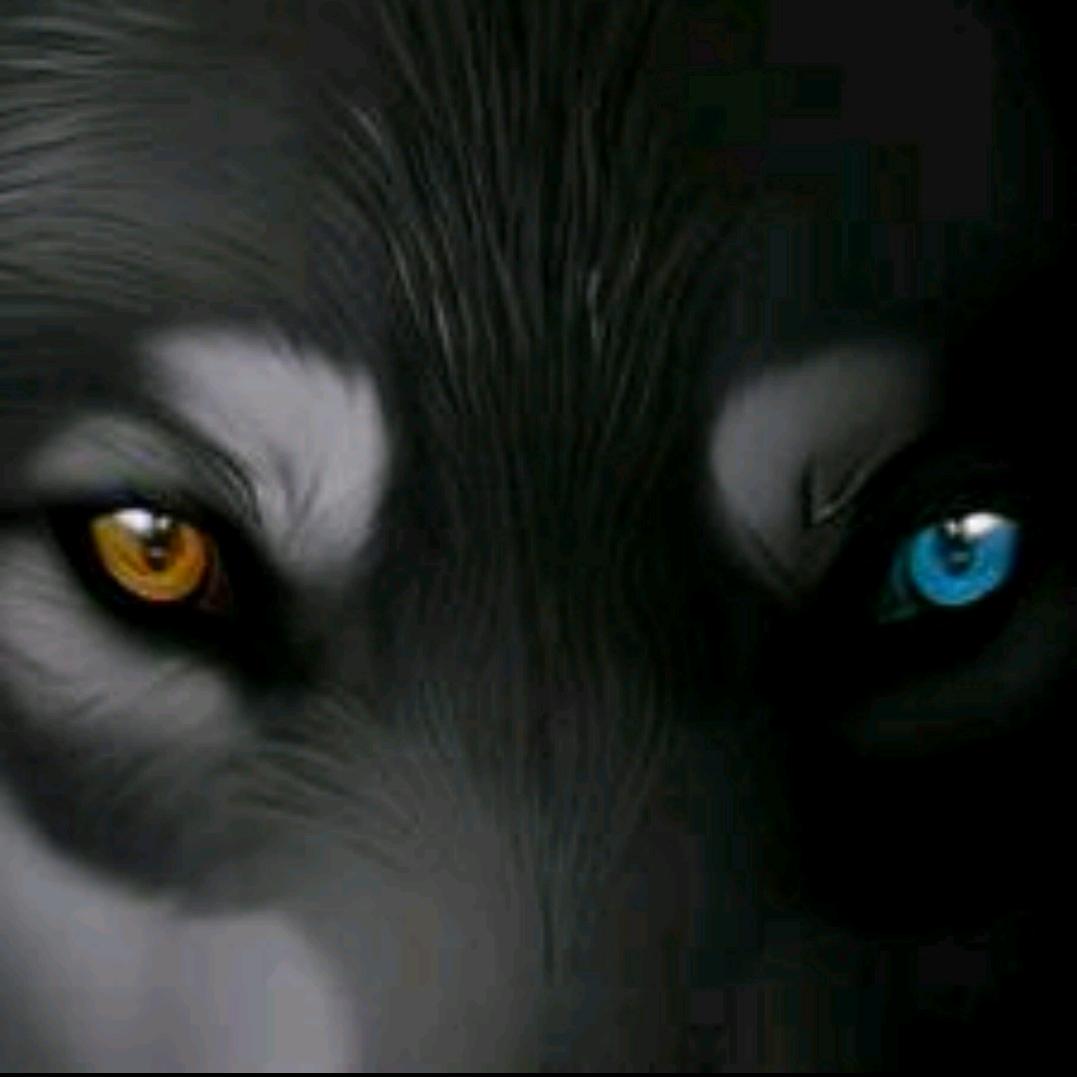 . 👁️‍🗨️👁 .