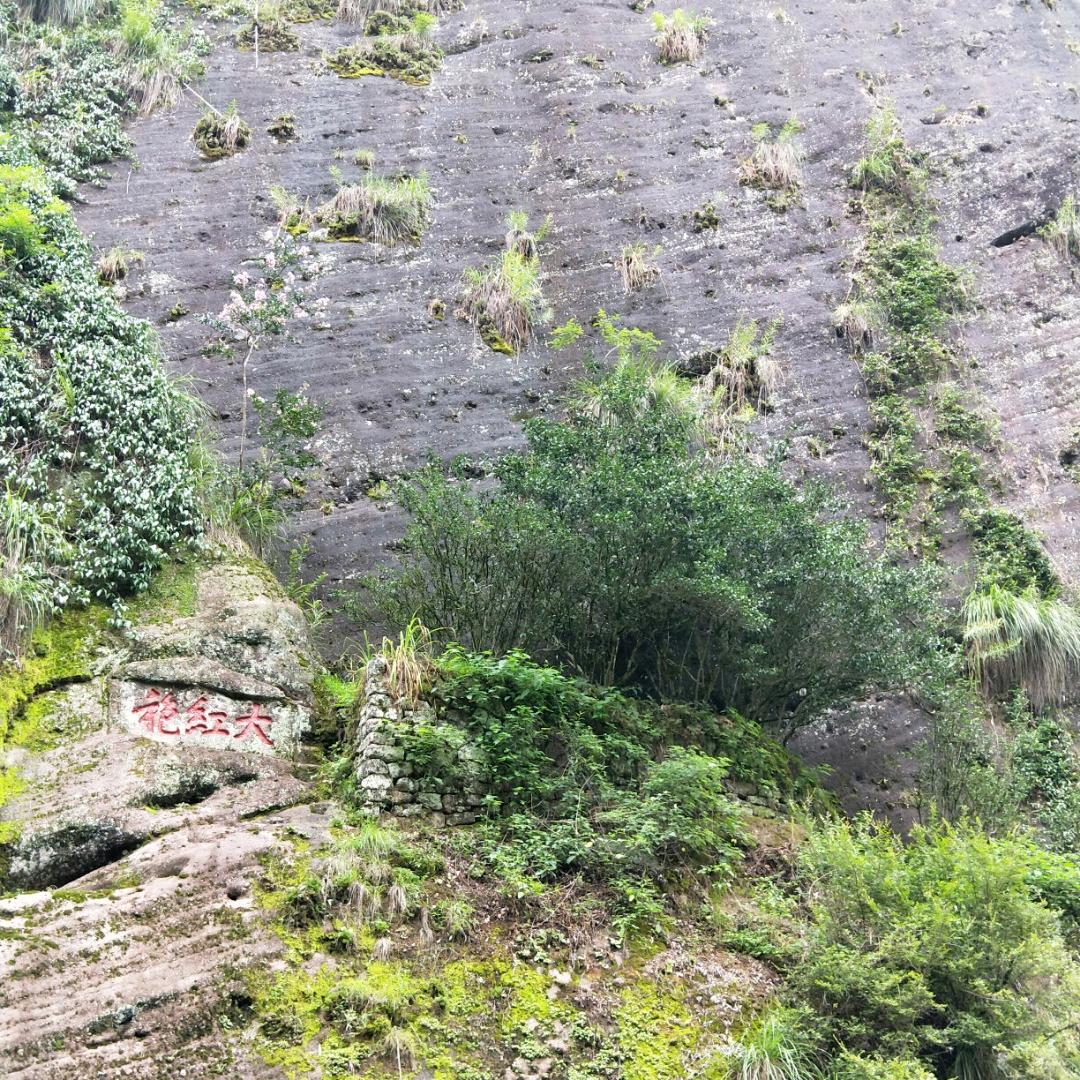 多年水土萬丈青氣