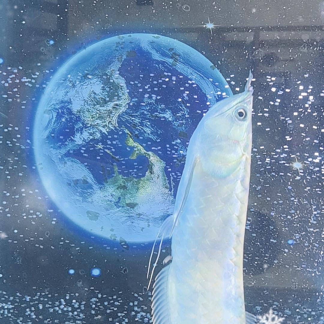国靌