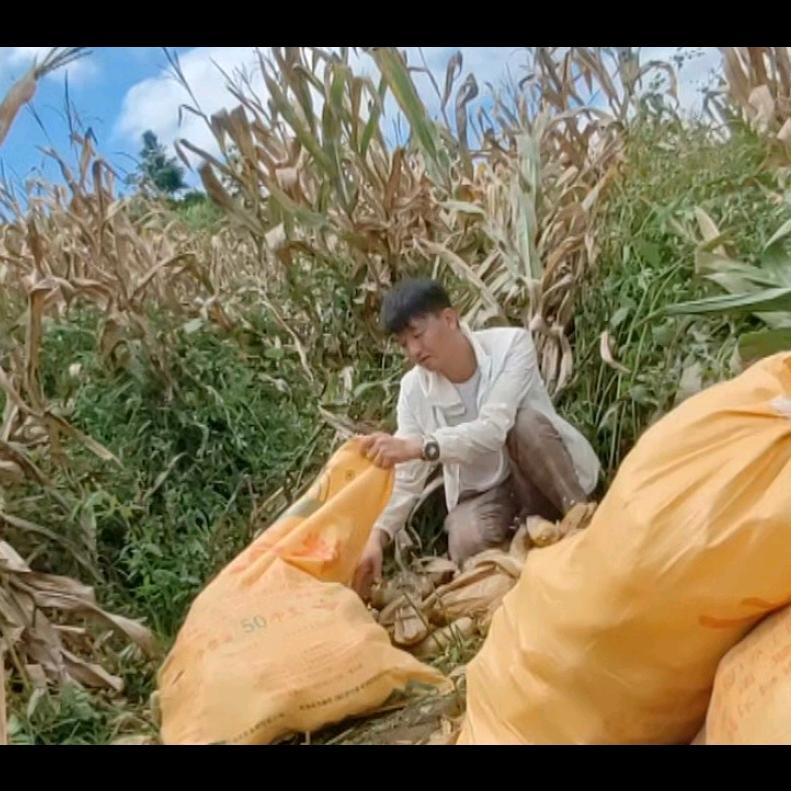 阿方爱山歌