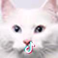 jjjjjjjjjj