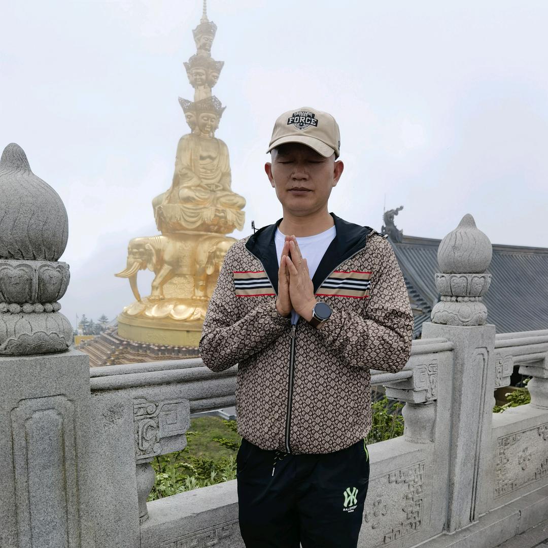 阳光下的蛋卷