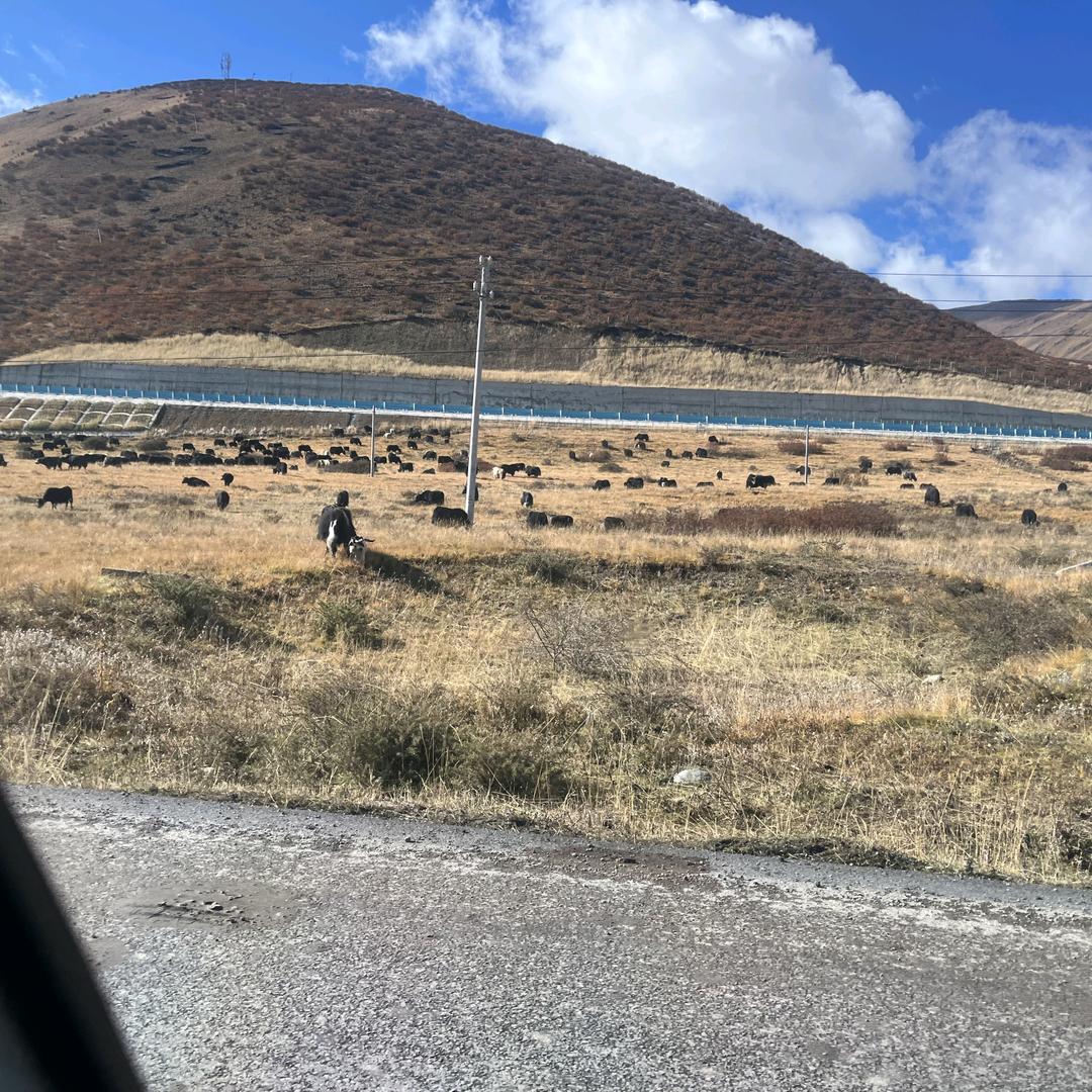 走遍大好河山