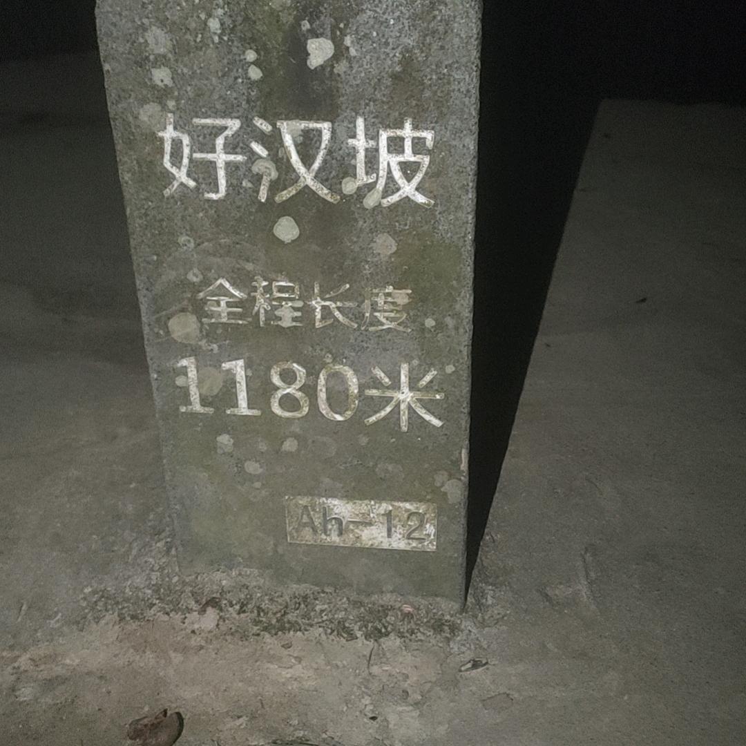 。，
