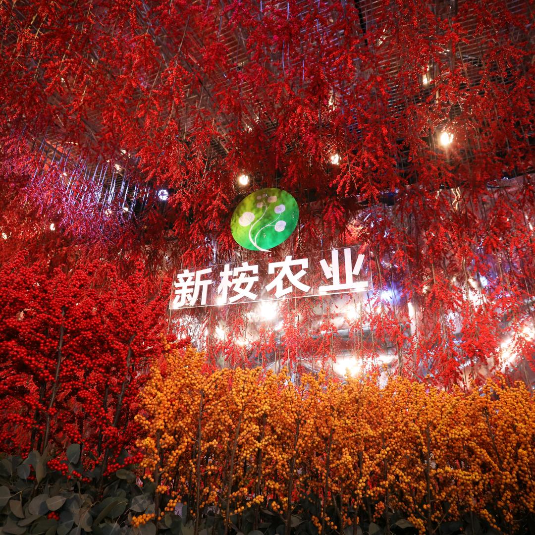云南新桉农业科技有限公司