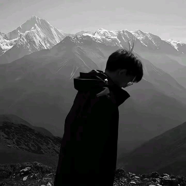 一只湫..