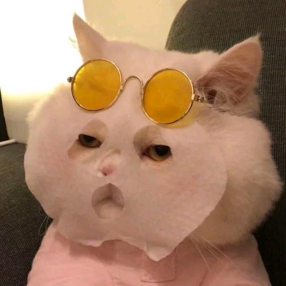 哒哒2