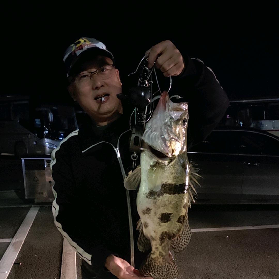 এ᭄鄂狼路亚ꦿ꧔ꦿ້໌ᮨ࿐